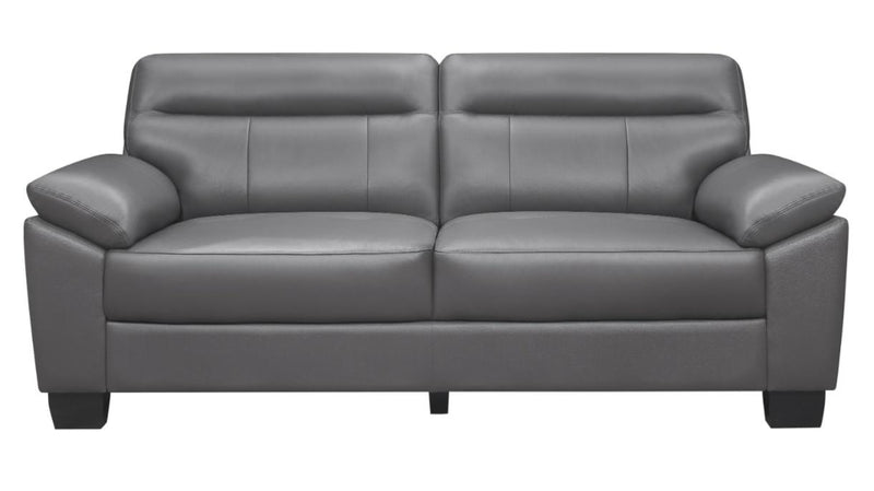 Denizen Sofa in Dark Gray 9537DGY-3 image